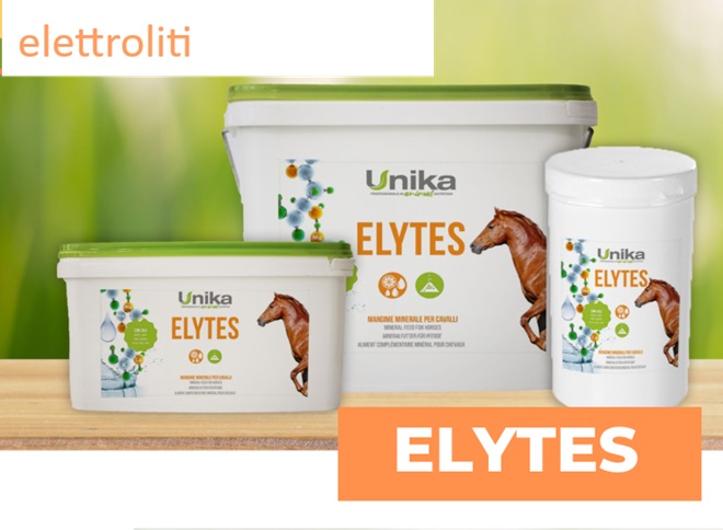 ELETTROLITI IN POLVERE 3 KG "ELYTES" UNIKA  